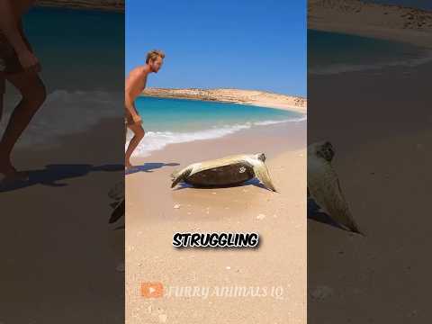 Heroic Rescue of