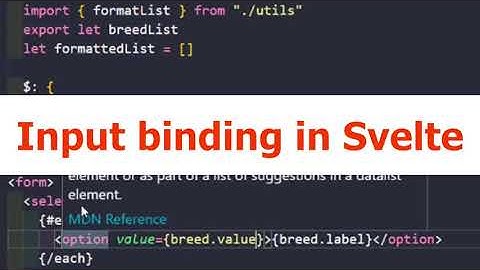 Input Binding In Svelte