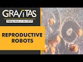 Gravitas: These robots can produce babies | 'Xenobots' capable of 'self-replicating'