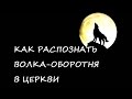 Как распознать что ваш пастор это волк в овечьей шкуре