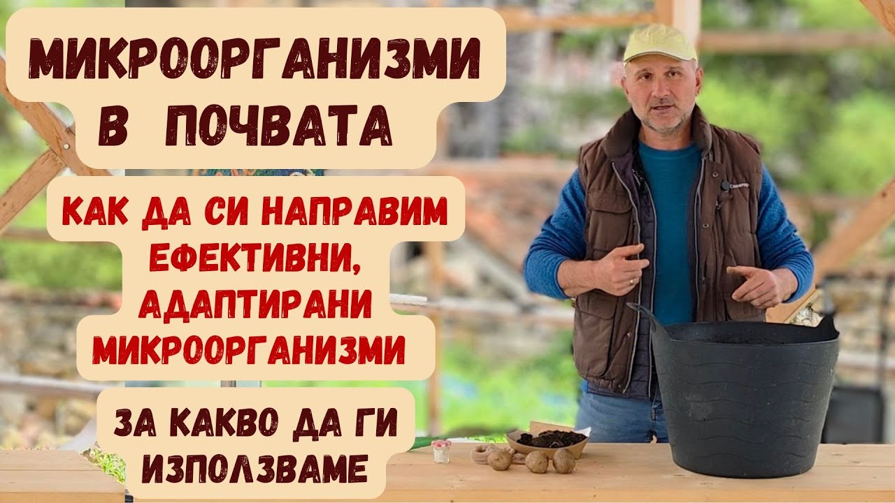 Как да си направим ефективни микроорганизми сами в домашни условия