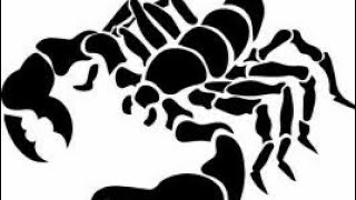 Scorpion, Transformation Et Intensité. Les Signes Du Zodiaque.