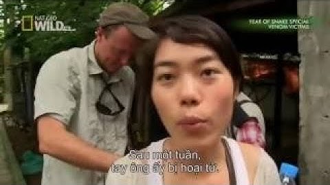 Amazing Capuchin Monkey Save Mouse When Snake Swallow