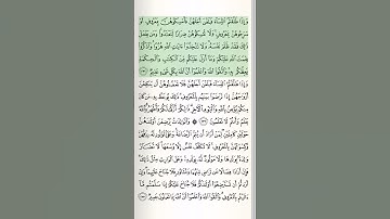 مجید قرآن سوره بقره | آیه 231 | #قرآن | #بقره | #شلوارک | #اسلام