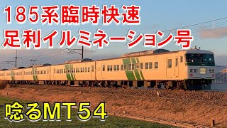 【2日間限定】185系臨時快速 足利イルミネーション号　JR東日本　宮オオB5編成　#185系　#足利イルミネーション号　#臨時列車  MT54