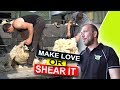 Make Love Or Shear It... Alan Clyde | FarmFLiX