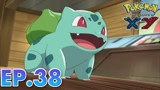 Pokémon the Series: XY| EP38 | Summer Of Discovery! |Pokémon Asia ENG