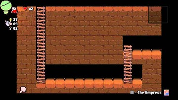 The Binding of Isaac: Rebirth | FUNNY BUG / Glitch |