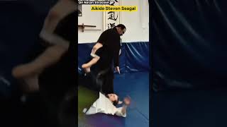 Aikido Steven Seagal against a punch real life Practical street Self defense @AhavatGordonOfficial