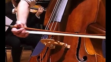 Suleika Jaouad Talks Mischief, Big Dream & Crush