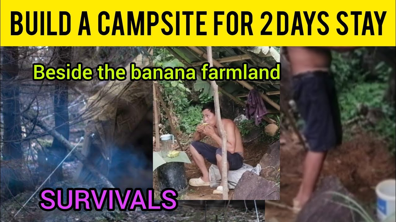 2 days survival camping in the banana farmland.