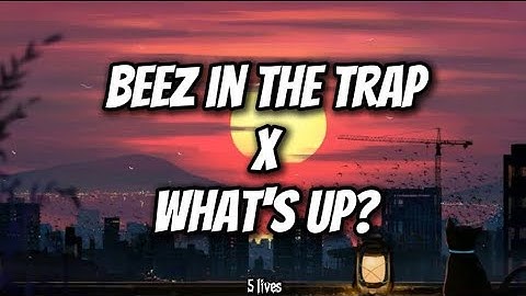 Nicki Minaj, 4 Non Blondes - Beez In The Trap X What