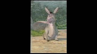Shrek: Donkeys Best Moments (2001) (VHS Capture)
