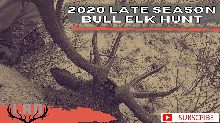 2020 Utah Elk Hunt | Late Season La Sal | LRO Hunt EP1