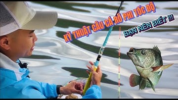 ✅ HƯỚNG DẪN CÂU ĐÀI |  KỸ THUẬT CÂU ĐẦU CẦN CÁ RÔ PHI TỐC ĐỘ , KHÔNG PHẢI AI CŨNG BIẾT ..!!