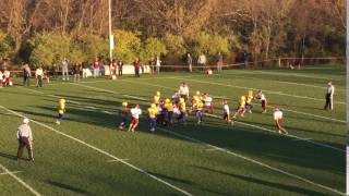 IMG 0935