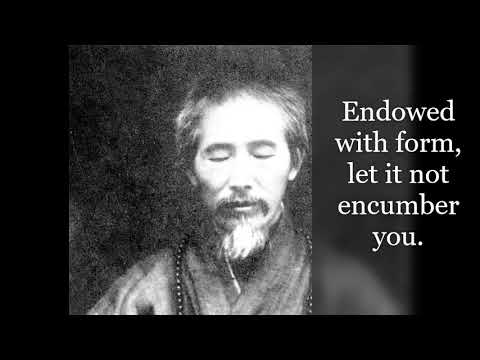 ~ 𝐒𝐨𝐧𝐠 𝐨𝐟 𝐭𝐡𝐞 𝐒𝐤𝐢𝐧 𝐁𝐚𝐠 ~  Master Hsu Yun  虚云  (Empty Cloud) - Zen/Chan Buddhism