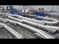 Production of 100,000 per day! Korean Popular Rice Wine Mass Production Factory