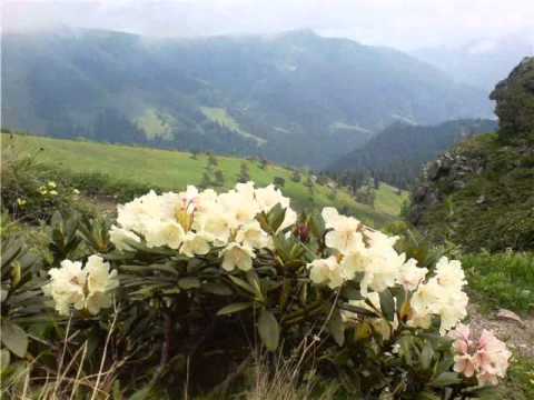 The Borjomi-Kharagauli National Park / ბორჯომ - ხარაგაულის ეროვნული პარკი