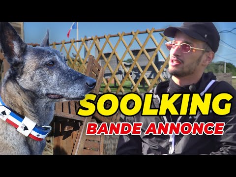 Soolking en formation à la Méthode Gun - Education naturelle sans Friandise