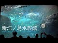 [4K] 新江ノ島水族館 〜様々な魚達と癒やしのクラゲ [α6300]