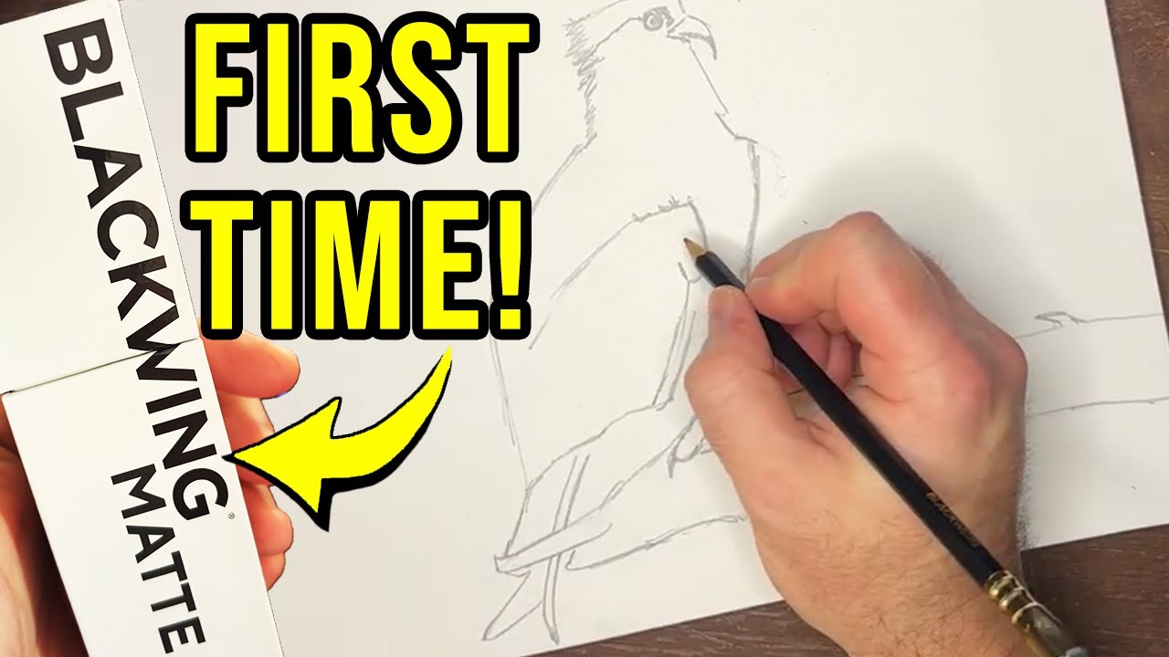 Are Blackwing Pencils Worth Their Weight in Gold? | Drawing an Osprey with Blackwing Mattes ✏️✨