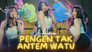 Lili Amora - TAK ANTEM WATU || Pengen Tak Antem Watu Ra*** Iku ( Official Music Video )