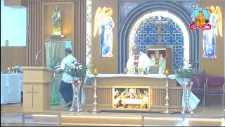 🔴 Live 29 July 2026 @ Vailankanni Shrine Basilica