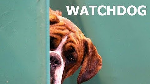 Автоматический сброс в случае зависания на примере Attiny13