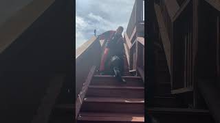 Bandit doing bite work on stairs #protectiondog #germanshepherd #dog
