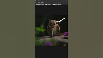 Generative Fill: The New Photoshop Feature That Will Blow Your Mind 😮