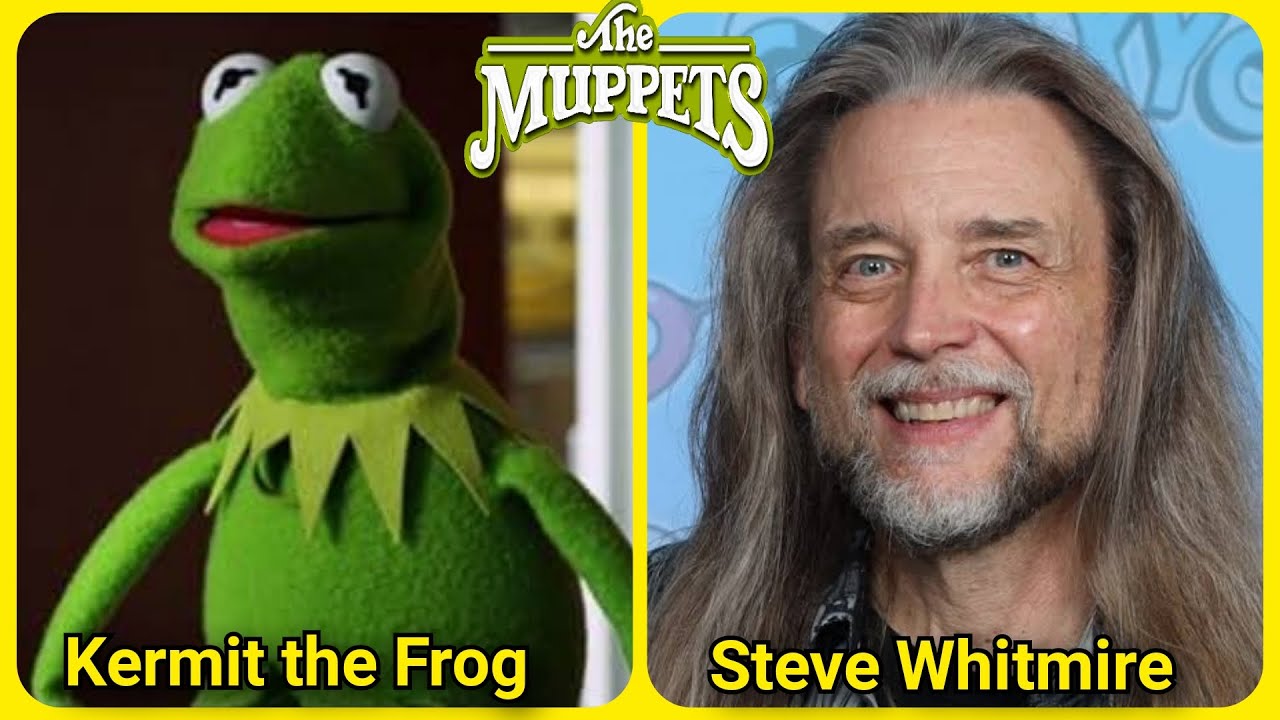 THE MUPPETS | Actors and Voice Actors | 14 Years Later 2011-2025 - YouTube