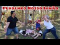 HOJE É DIA DE MARIAS PERDIDOS NO BOSQUE