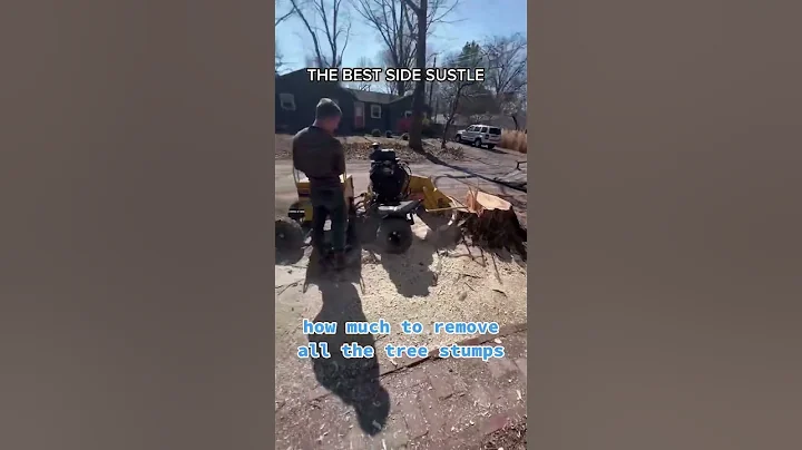 What’s the best side hustle? ##sidehustle##bestsidehustles##bestsidehustleforbeginners##bestsidehust