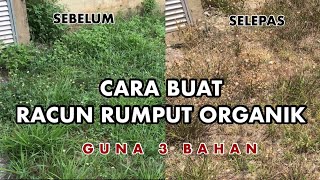 [BARAKALLAHUFIK] CARA BUAT RACUN RUMPUT ORGANIK | Little SQFT