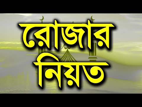 ভিডিও: কিভাবে একটি Newt রাখা