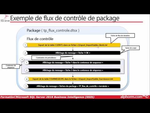 Vidéo: Comment déboguer la tâche de flux de données SSIS ?