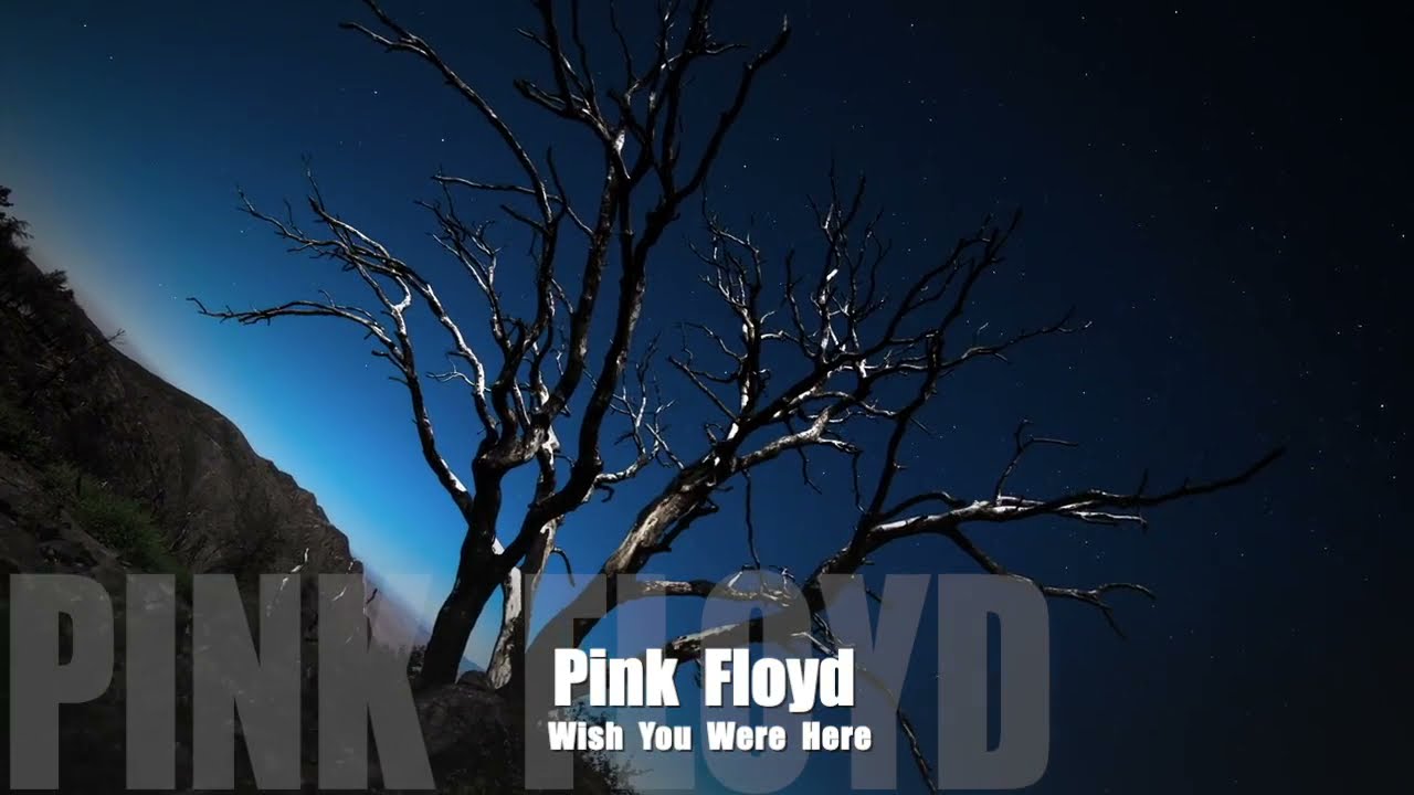 História e tradução de Wish you were here (Pink Floyd) - Cultura Genial