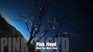 🎸Pink Floyd -  Wish You Were Here - (TRADUÇÃO)