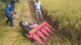 धान, गेंहू कटाई की बेस्ट रीपर मशीन. KAMCO Power Reaper for Paddy, Wheat etc.. Best Machine in India.