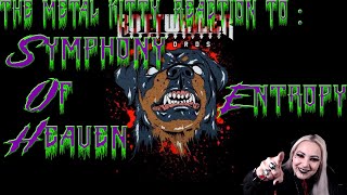 The Metal Kitty Reaction To Symphony Of Heaven - Entropy
