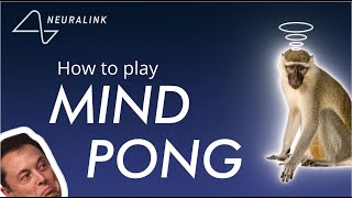 Monkey MindPong: How Neuralink Taught a Monkey to Video Games With His Mind screenshot 5