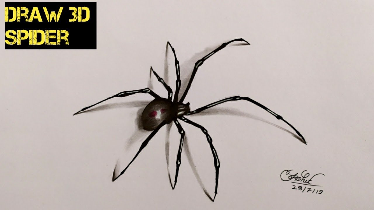 3D Draw Spider  Spider drawing Spider art Spider tattoo