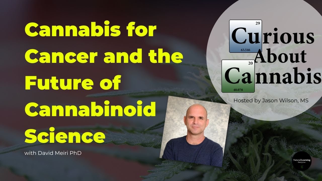 Cannabis for Cancer and the Future of Cannabinoid Science with David (Dedi) Meiri PhD