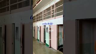 A Day in Life: My Journey to Jail 🛥️