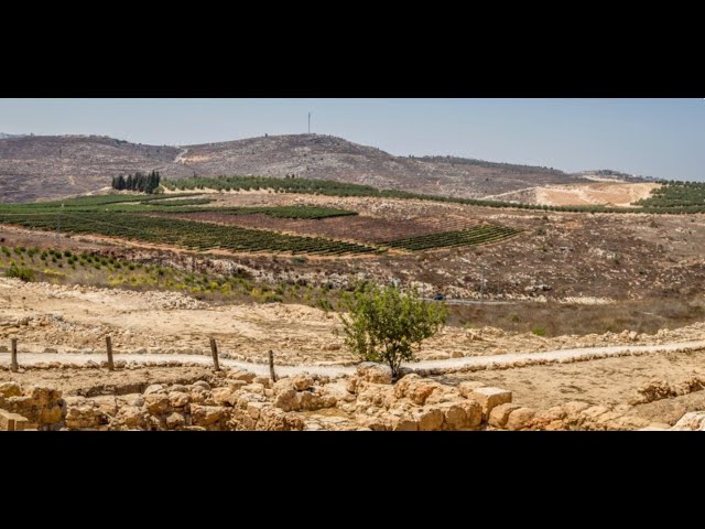 Watch Yehoshua: From Conquest to Division: The Shiloh Plan (Part 11) || Rabbi Moshe Shulman on YouTube.