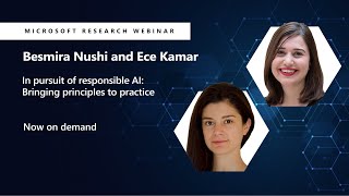 In pursuit of responsible AI: Bringing principles to practice