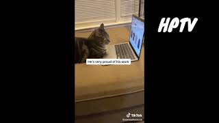 Animals Funniest  Moments Compilation 002 by House Pets TV 467 views 3 weeks ago 10 minutes, 50 seconds