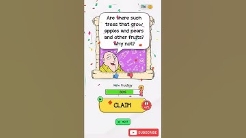 Braindom 2 Level 29 Walkthrough