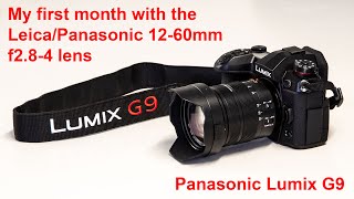 Panasonic Lumix G9: My first month with the Leica/Panasonic 12-60mm lens.